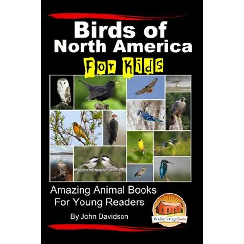Birds of North America For Kids - Amazing Animal Books for Young Readers