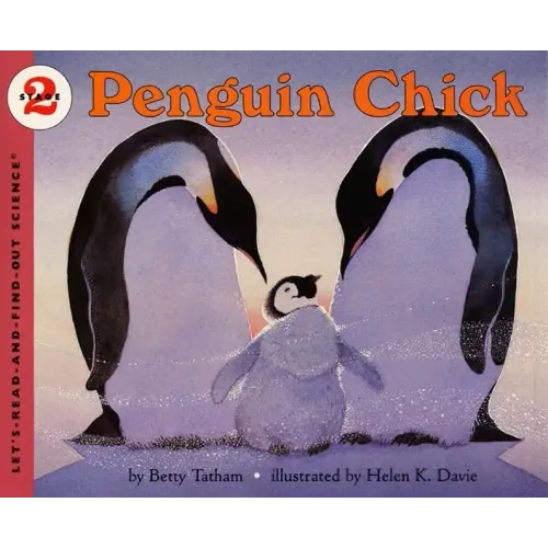 Penguin Chick