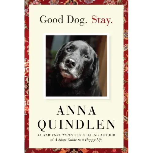 Good Dog. Stay.