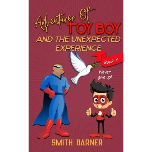 Adventures of Toy Boy and the Unexpected Experience
