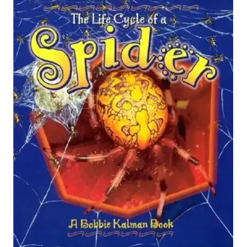 Spider