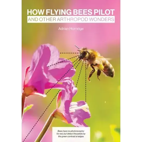 How Flying Bees Pilot, and other arthropod wonders