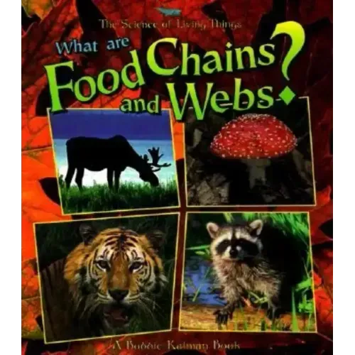 What Are Food Chains and Webs?
