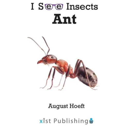 Ant