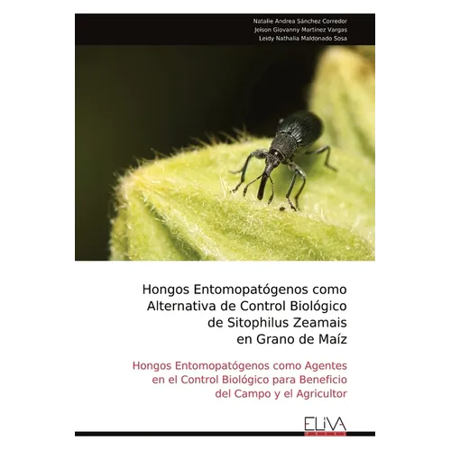Hongos Entomopatógenos como Alternativa de Control Biológico de Sitophilus Zeamais en Grano de Maíz