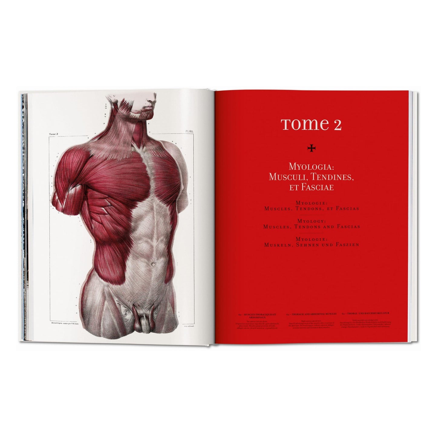 Bourgery. Atlas of Human Anatomy and Surgery (German, French, English) Book