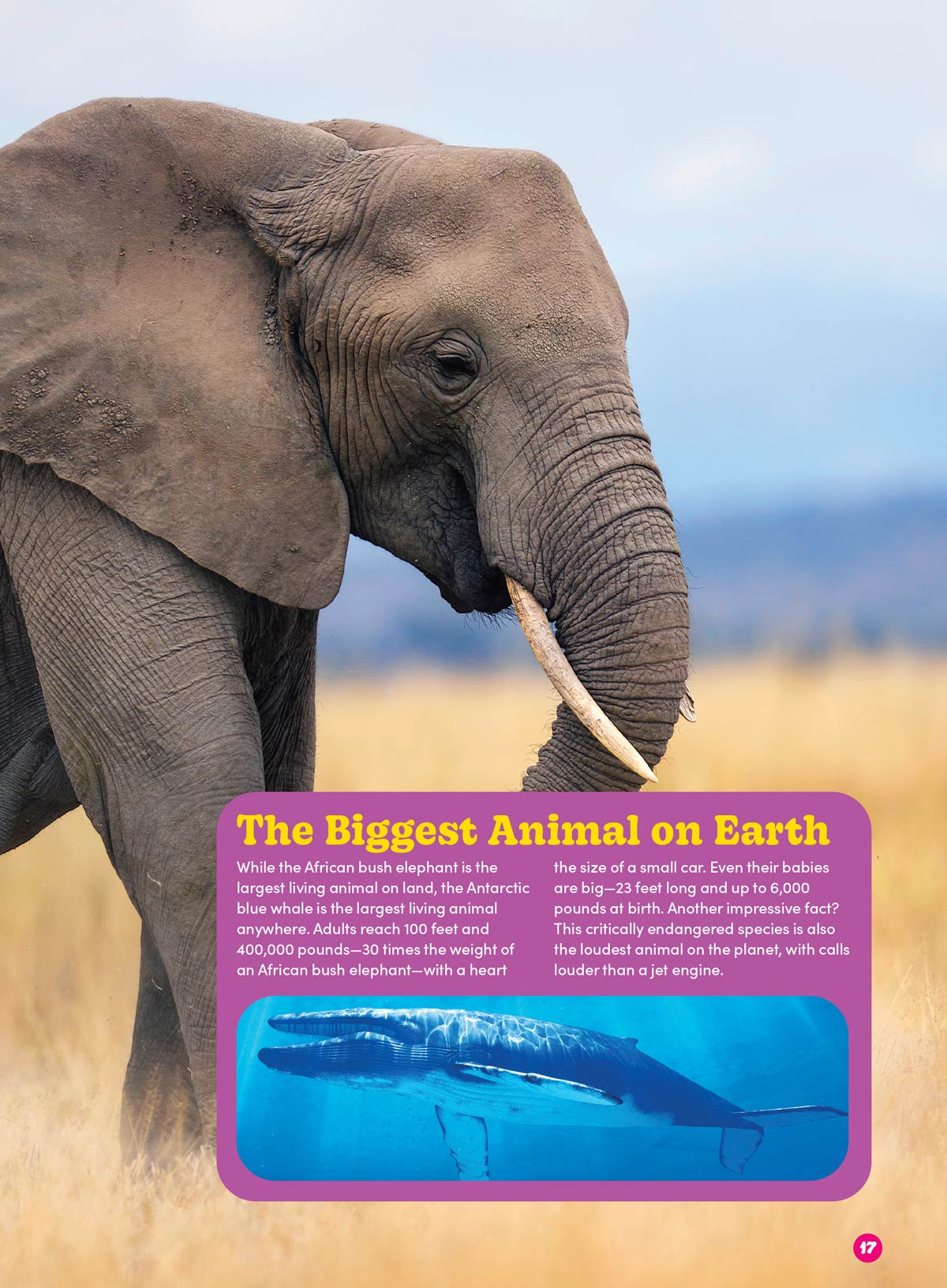 Baby Animals - The Ultimate A To Z Guide: Discover Fascinating Facts About The World's Cutest Creatures, Learn About Various Species' Growth & Development! Plus Coloring Pages, Puzzles, Games & More!