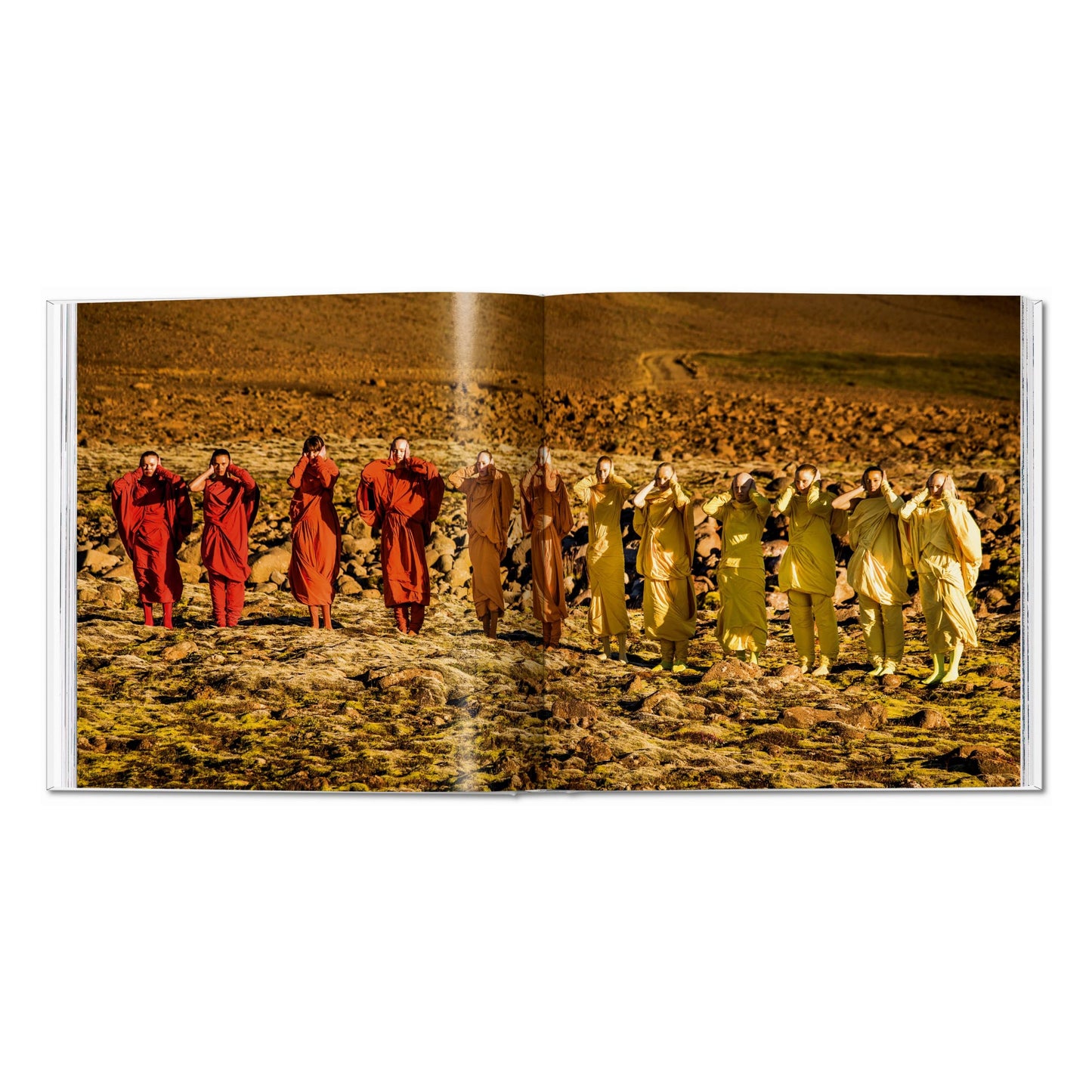 Issey Miyake (English, Japanese) Book