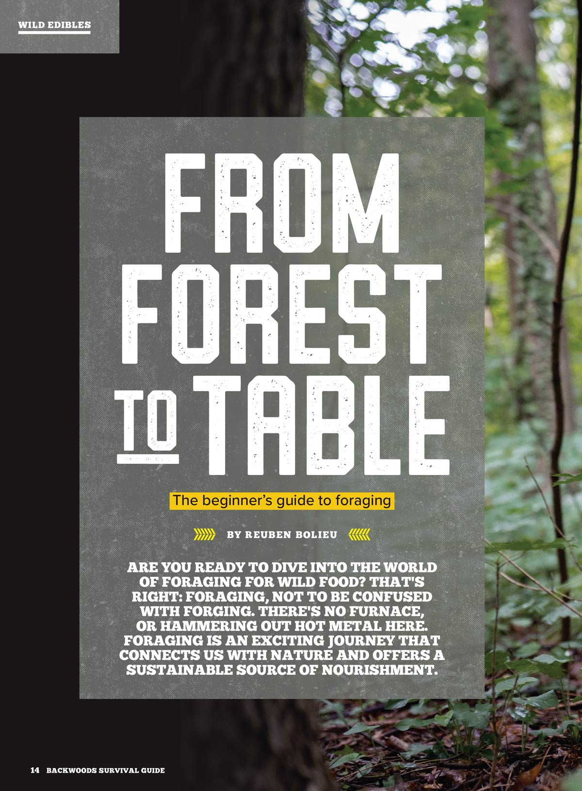 Backwoods Survival Guide - Living Off The Land No. 31:  200+ Essential Tips For The Simple Life, Self Reliance Strategies, Wilderness Skills, Homesteading Necessities, Challenges & More!