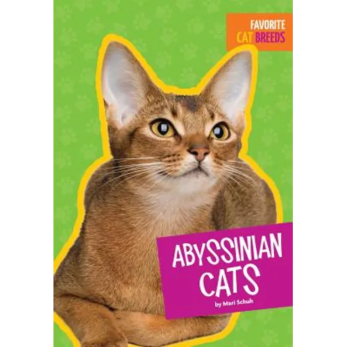 Abyssinian Cats