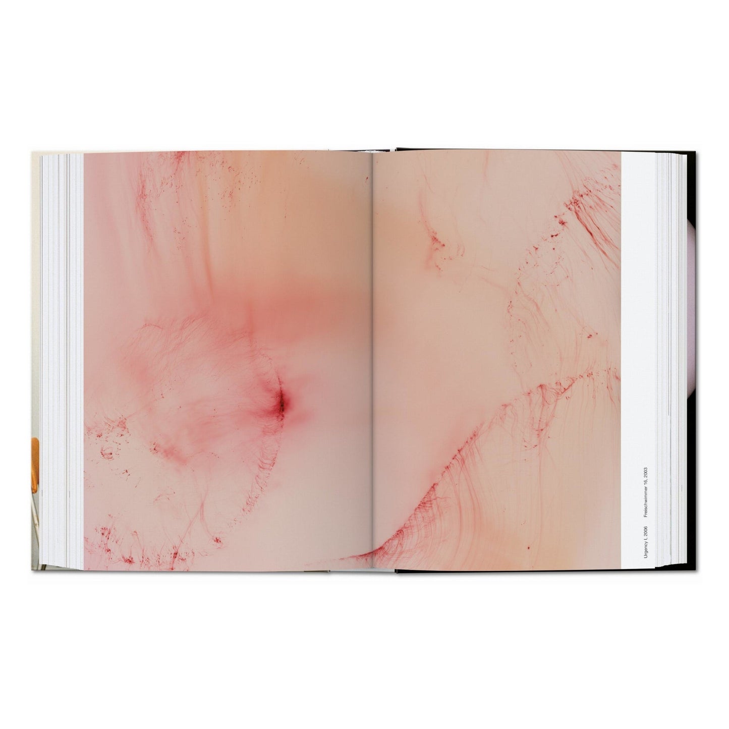 Wolfgang Tillmans. four books. 45th Ed. (English) Book