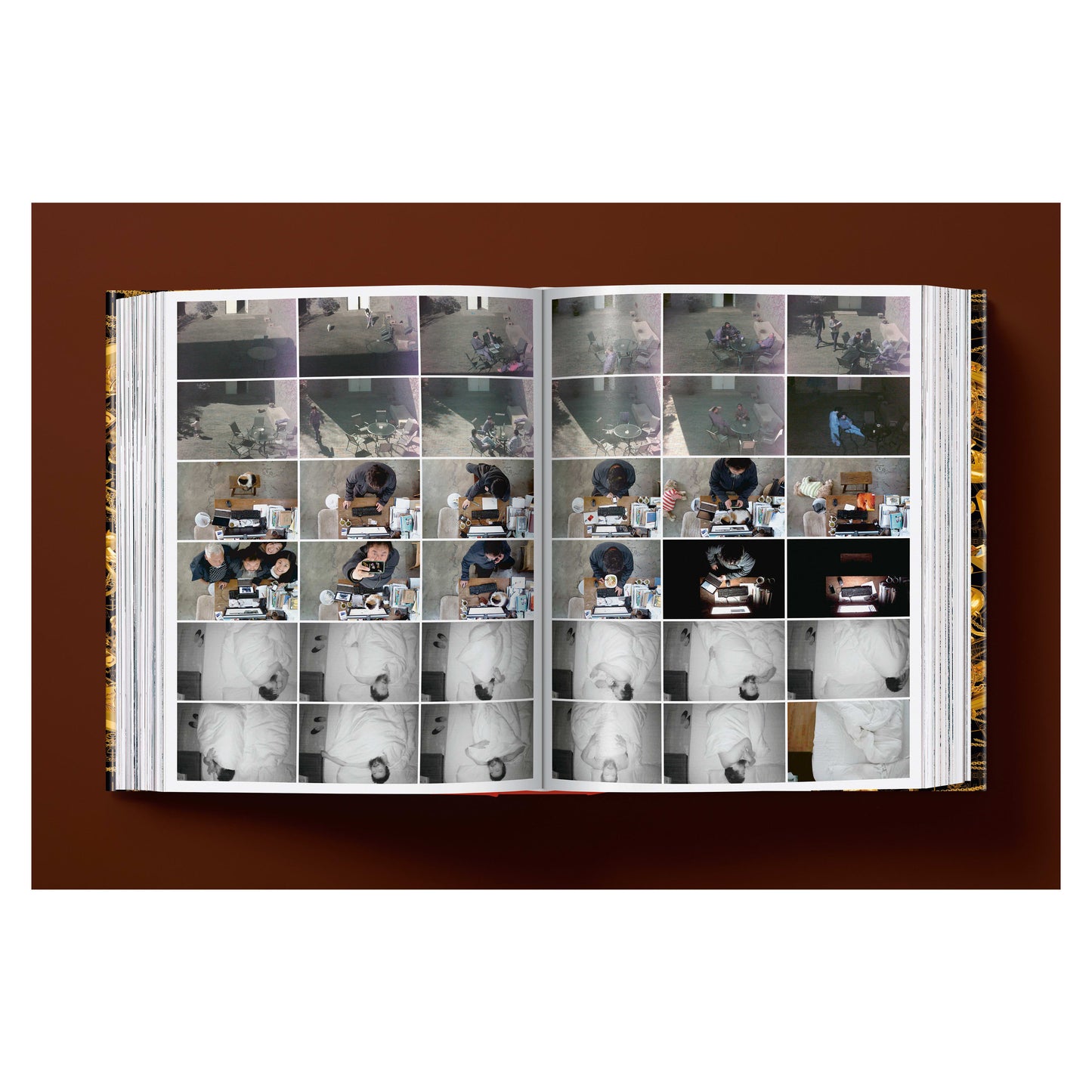 Ai Weiwei. Updated Edition (German, French, English) Book