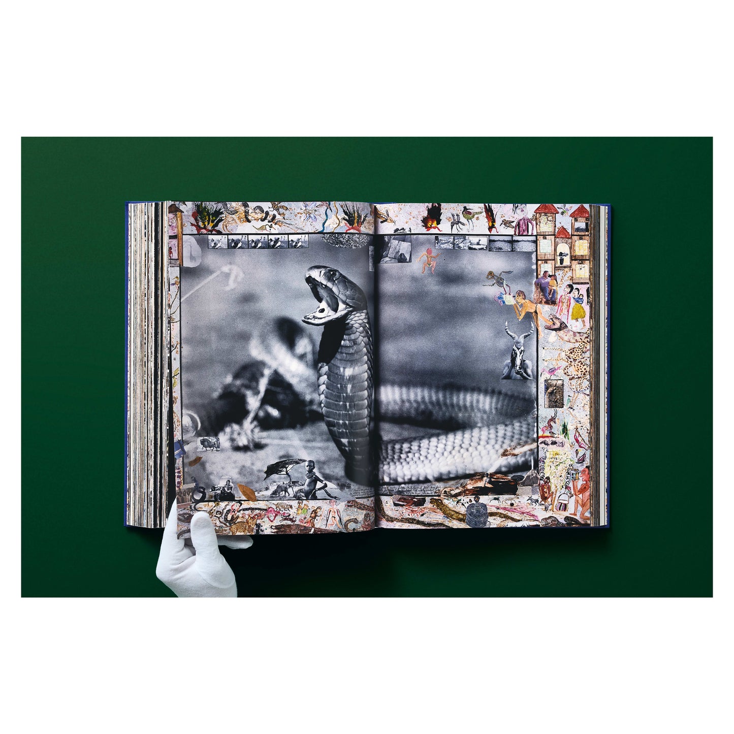 Peter Beard (German, French, English) Book