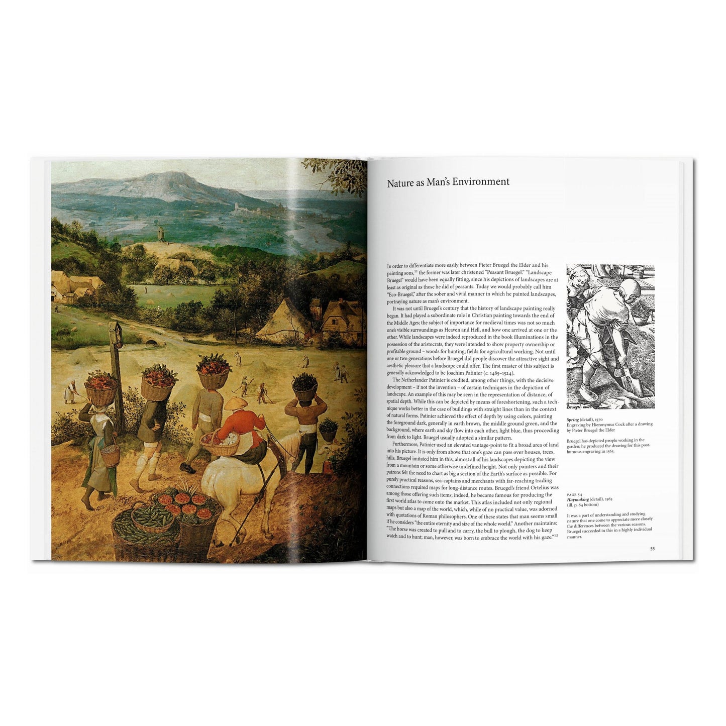 Bruegel (English) Book
