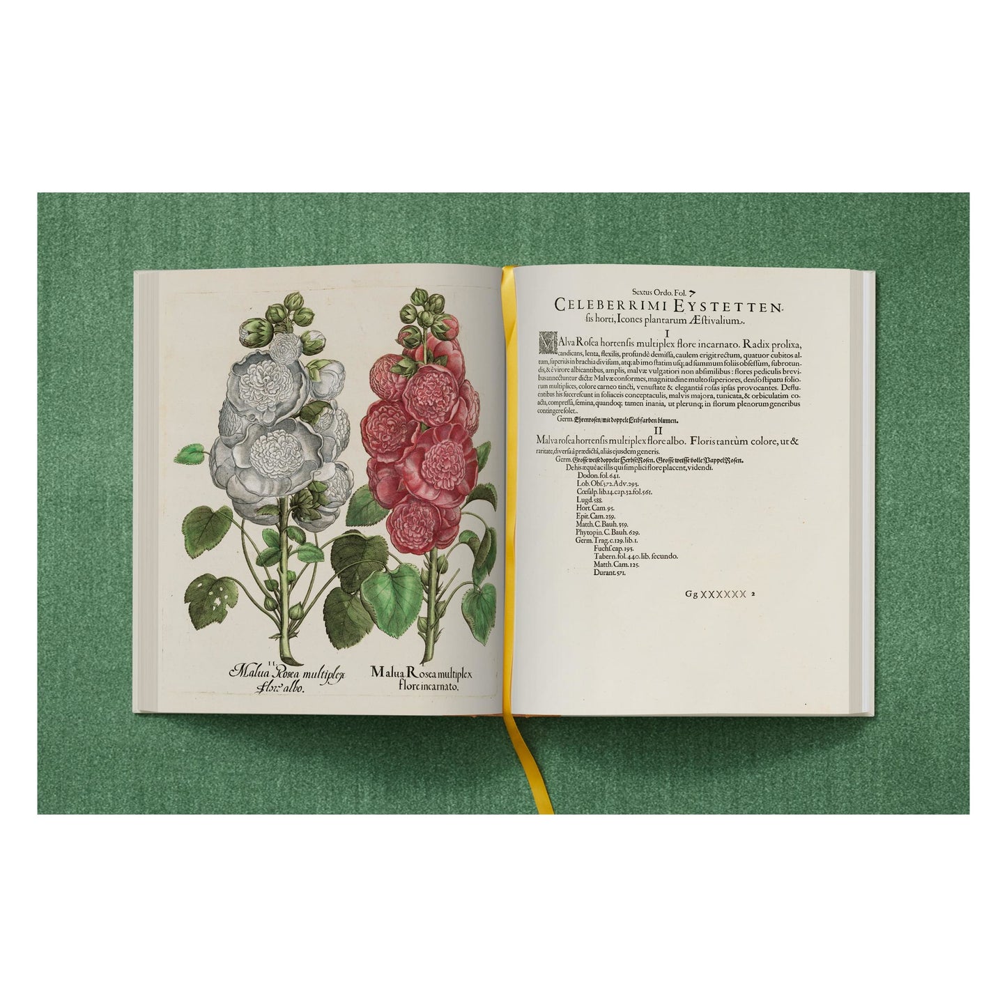 Basilius Besler. The Garden at Eichstätt (German, French, English) (FFE) Book