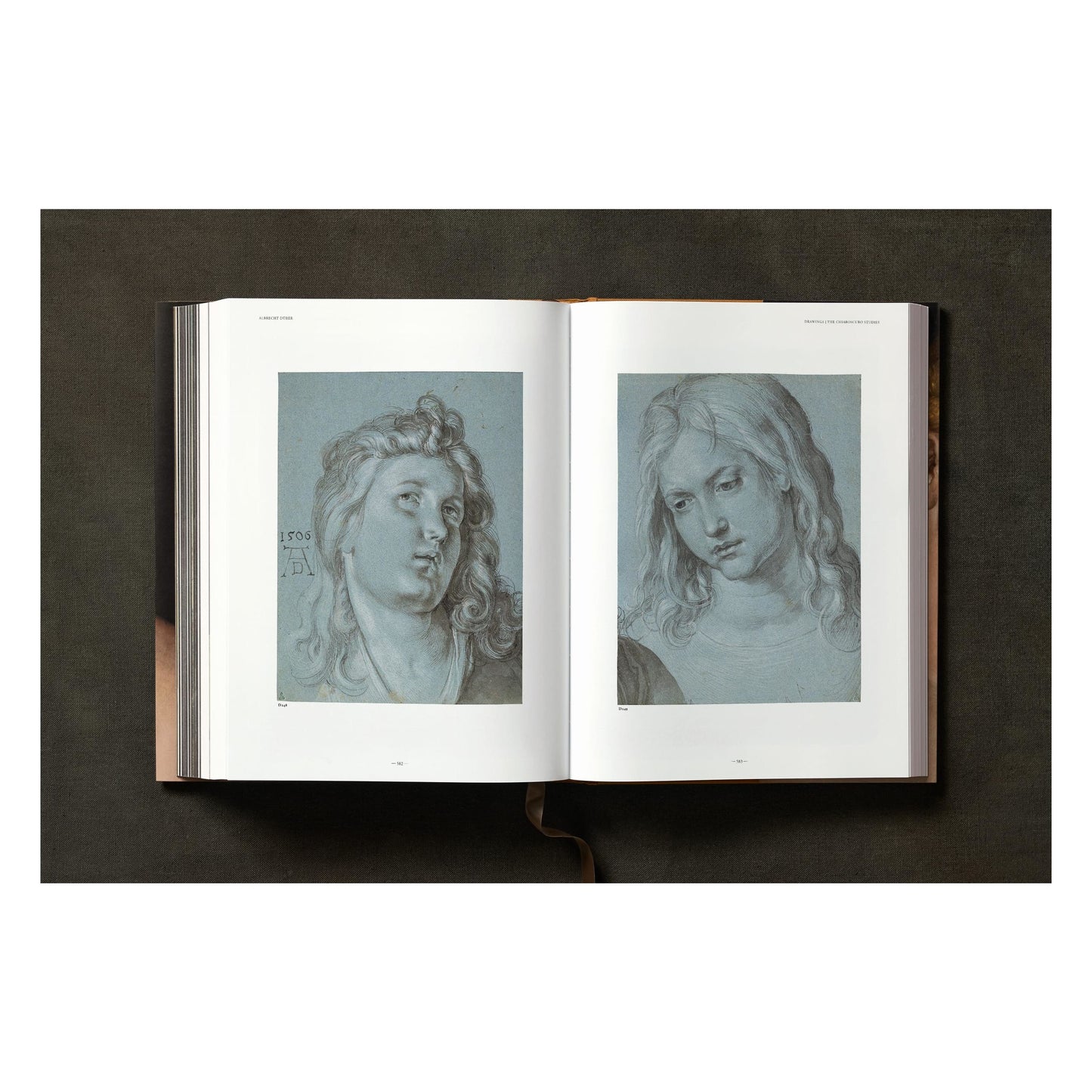 Albrecht Dürer. The Complete Paintings. Selected Drawings and Prints (English) Book