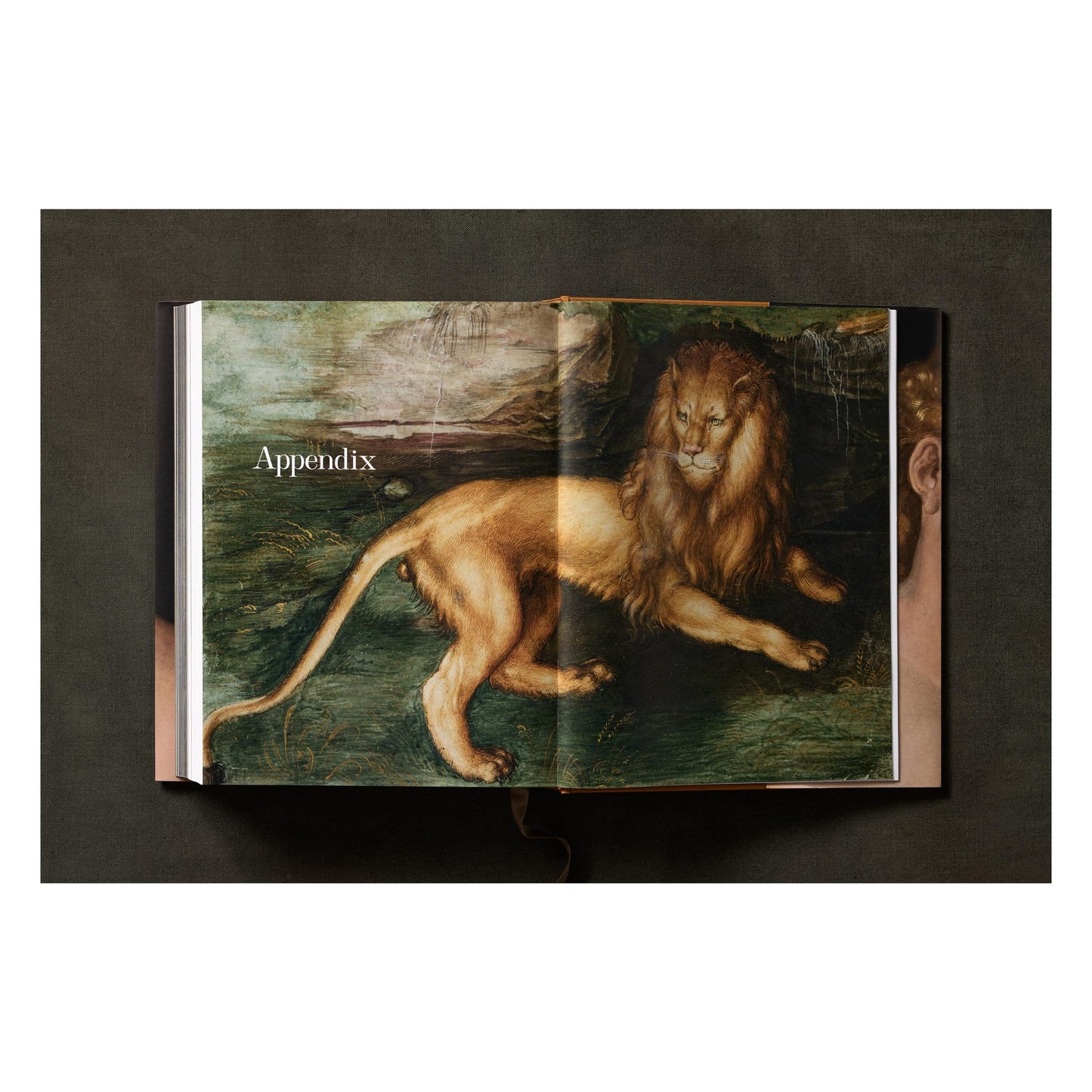 Albrecht Dürer. The Complete Paintings. Selected Drawings and Prints (English) Book