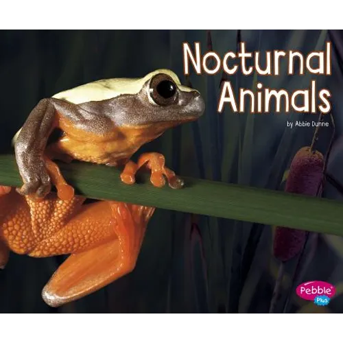Nocturnal Animals