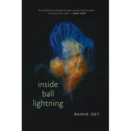 Inside Ball Lightning
