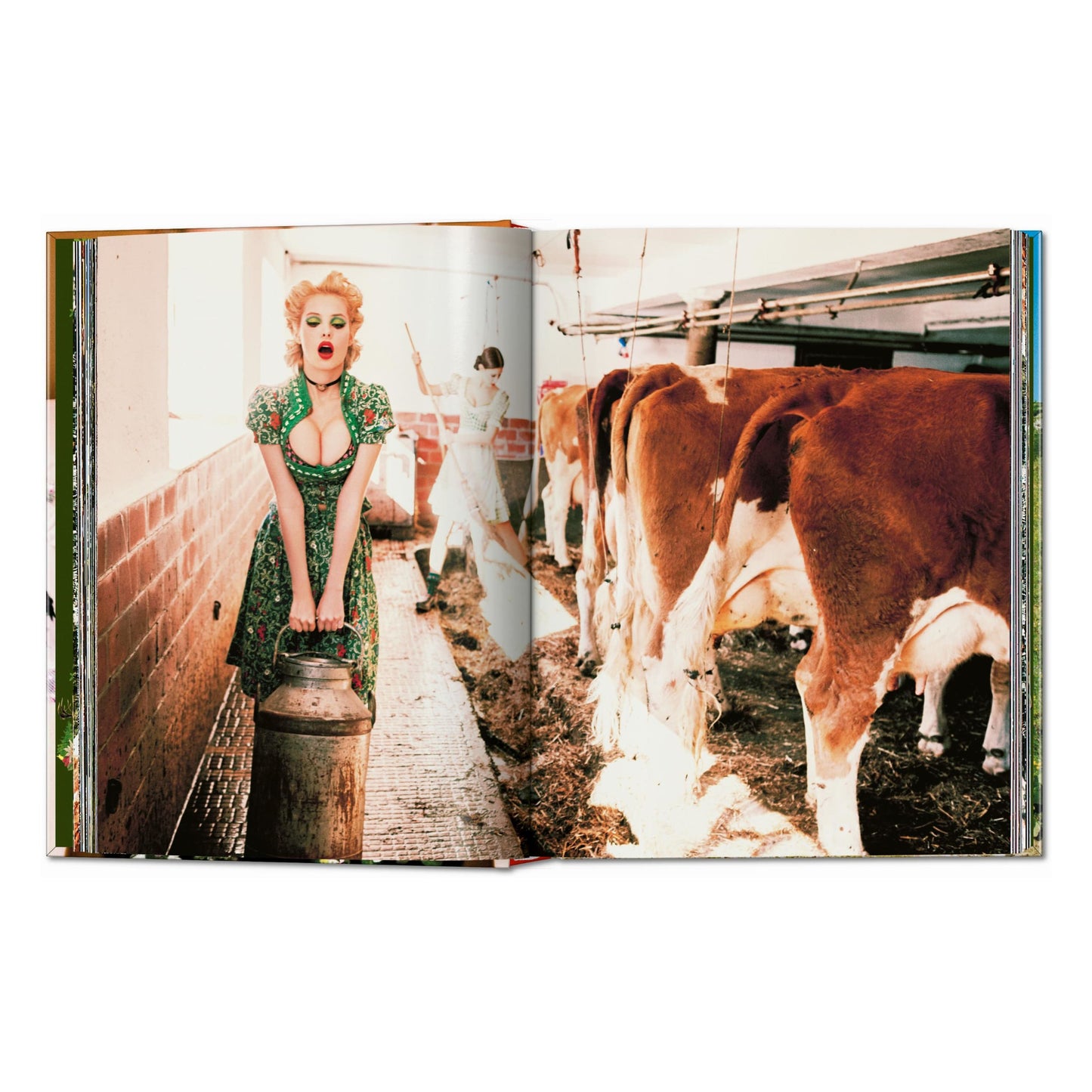 Ellen von Unwerth. Heimat (German, French, English) Book
