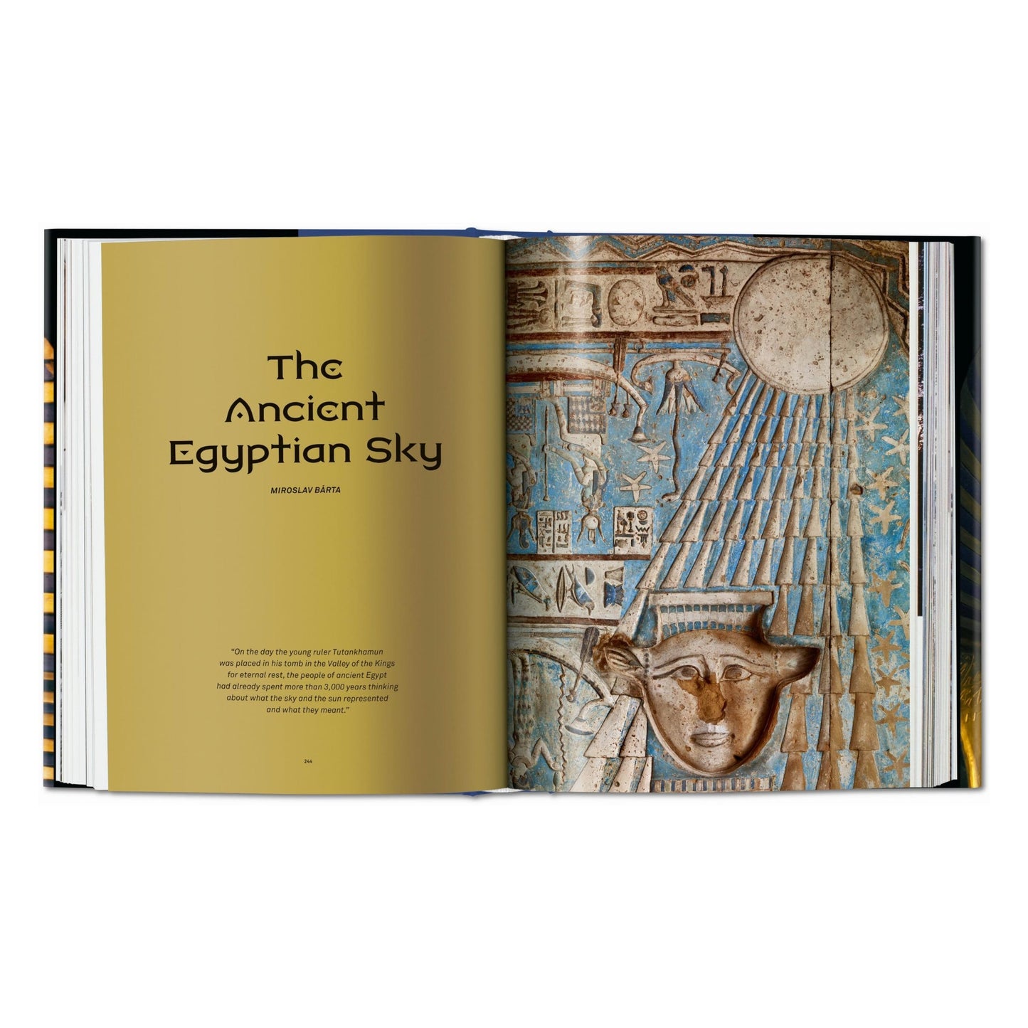 King Tut. The Journey through the Underworld (English) Book