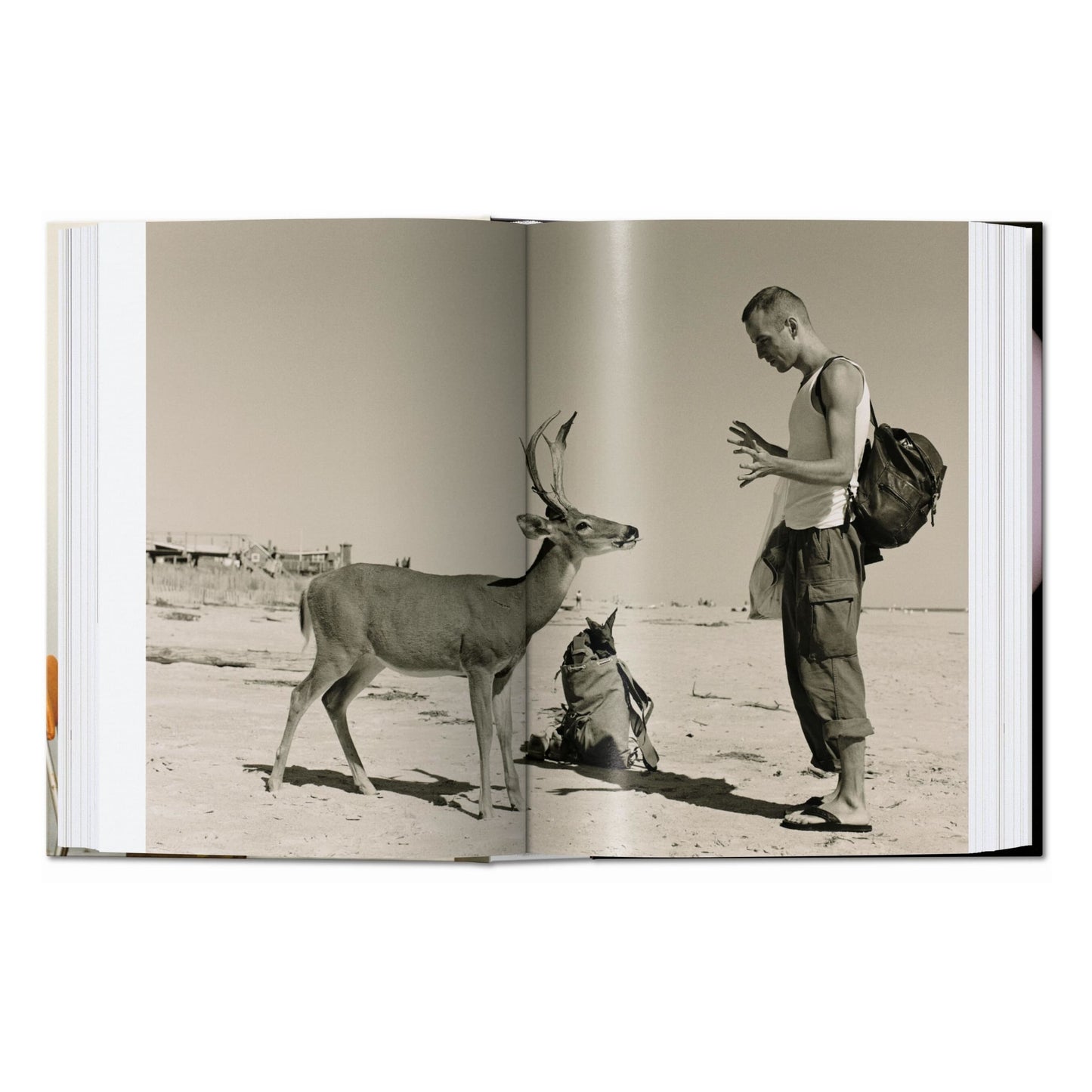 Wolfgang Tillmans. four books. 45th Ed. (English) Book