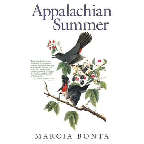 Appalachian Summer