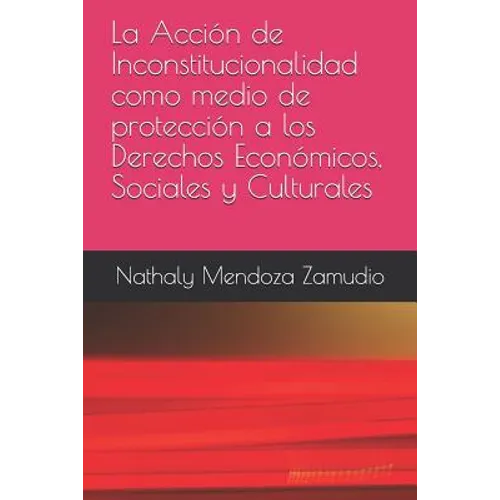La Acción de Inconstitucionalidad Como Medio de Protección a Los Derechos Económicos, Sociales Y Culturales