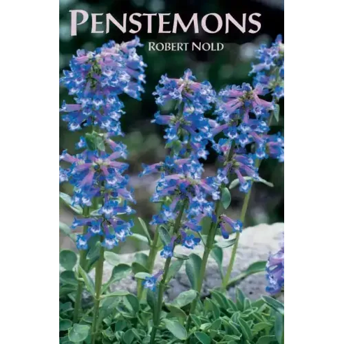 Penstemons