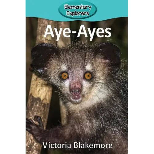 Aye-Ayes