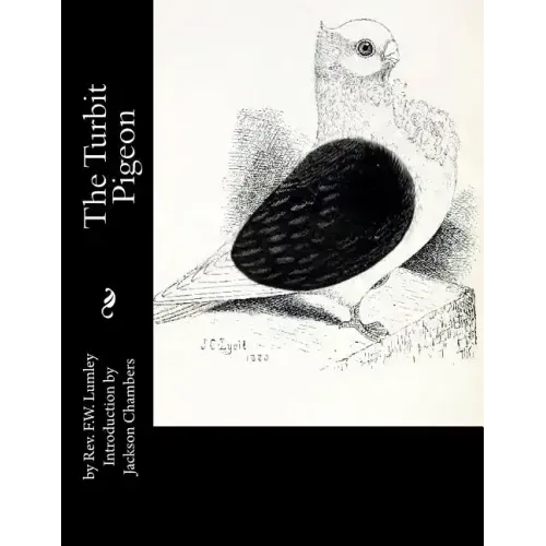 The Turbit Pigeon