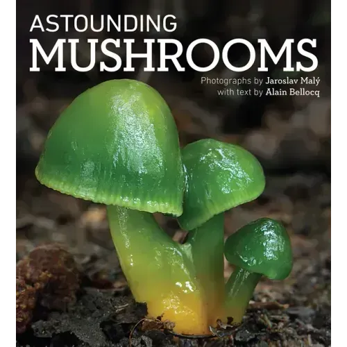 Astounding Mushrooms