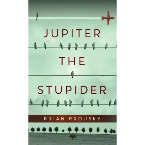Jupiter the Stupider