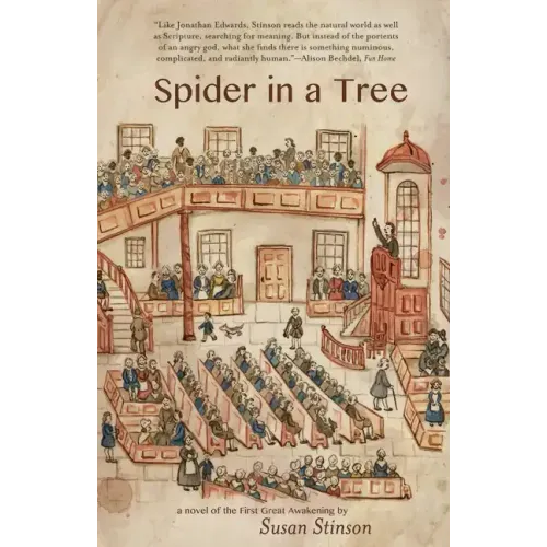 Spider in a Tree