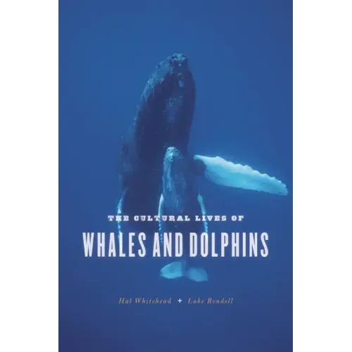 The Cultural Lives of Whales and Dolphins