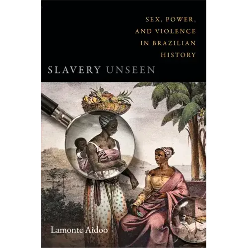 Slavery Unseen: Sex, Power, and Violence in Brazilian History