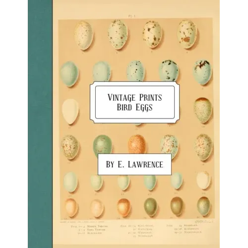 Vintage Prints: Bird Eggs