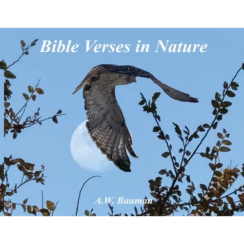 Bible Verses in Nature