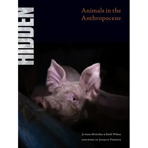 Hidden: Animals in the Anthropocene