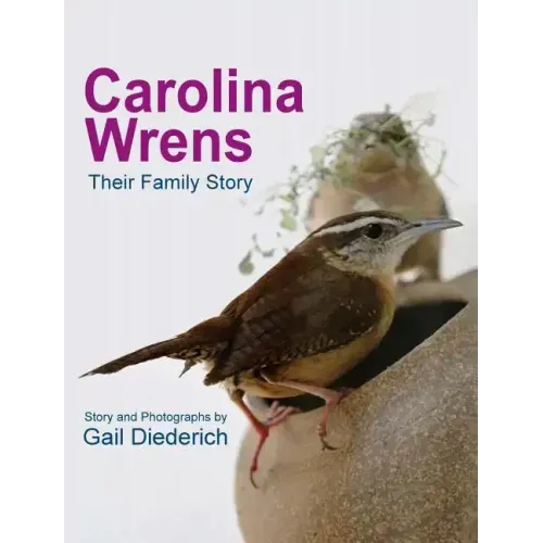 Carolina Wrens: Their Family Story