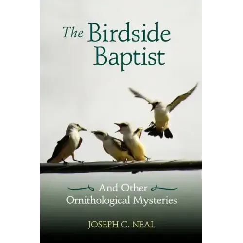 The Birdside Baptist