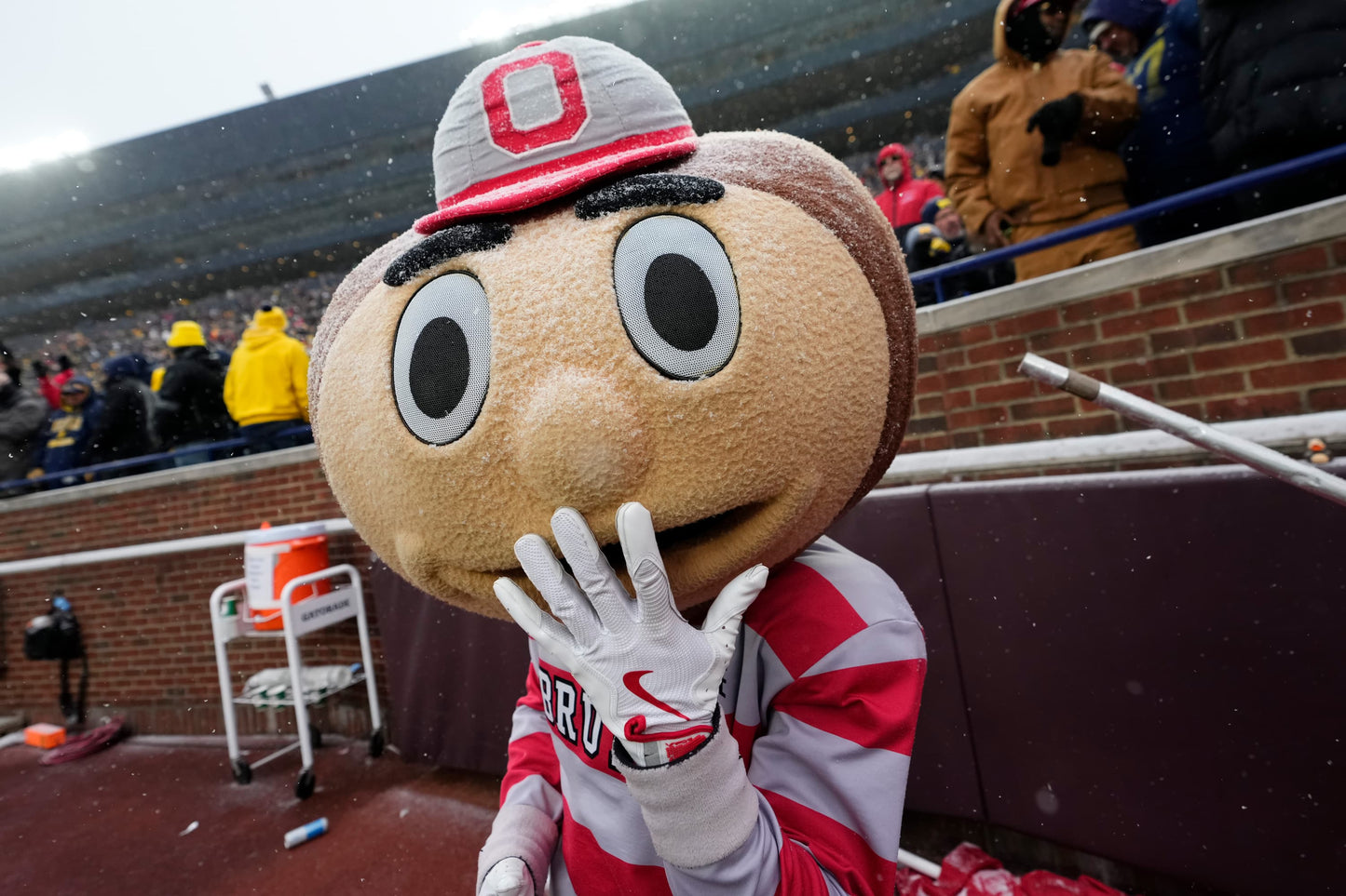 Being Brutus Inside the Head of Ohio State's Iconic Mascot Book - PREORDER ships 11/27/2026