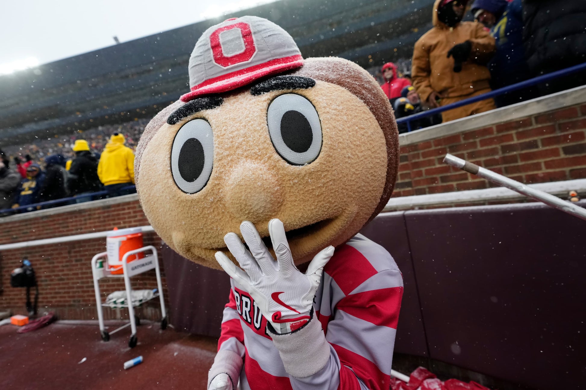 Being Brutus Inside the Head of Ohio State's Iconic Mascot Book - PREORDER ships 11/27/2026