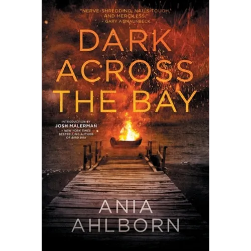 Dark Across the Bay