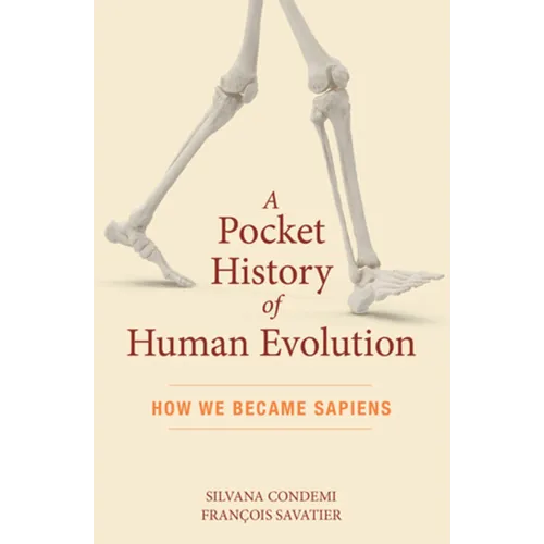 A Pocket History of Human Evolution: How We Became Sapiens