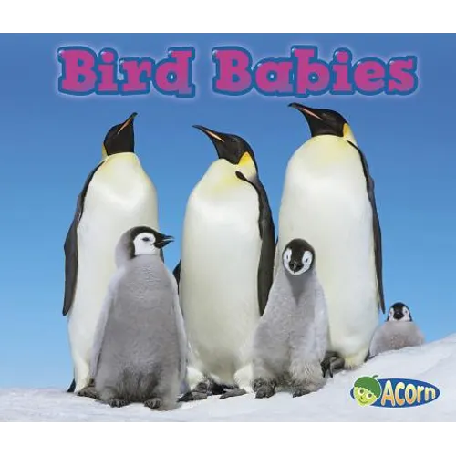 Bird Babies