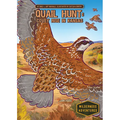 Quail Hunt: Covey Rise in Kansas: Covey Rise in Kansas