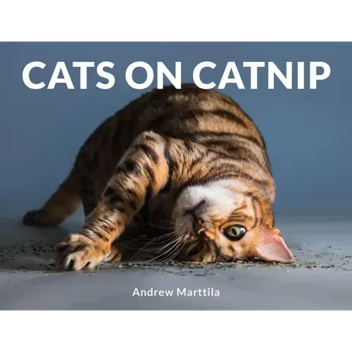 Cats on Catnip