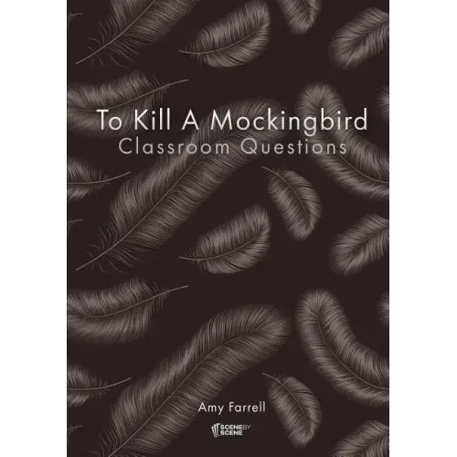To Kill a Mockingbird Classroom Questions