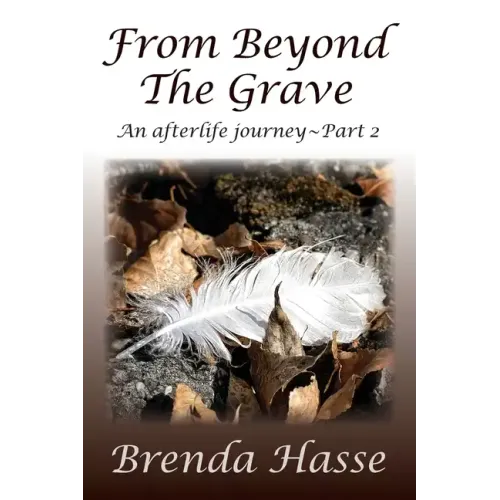 From Beyond The Grave: An afterlife journey Part 2